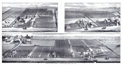 Brownville Orchard and Vineyard, O.C. Brown, George Reeve Ranch and Residence, Buckner Bros., Tulare County 1892